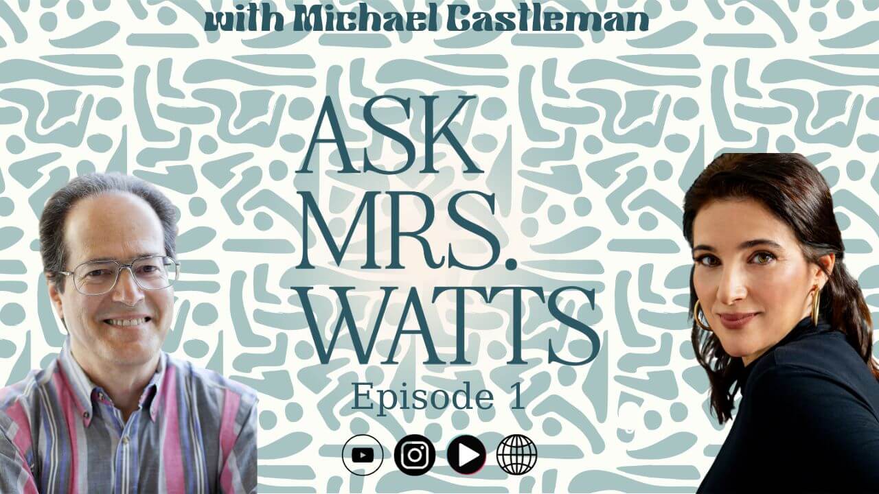 Ask Mrs Watts podcast thumbnail